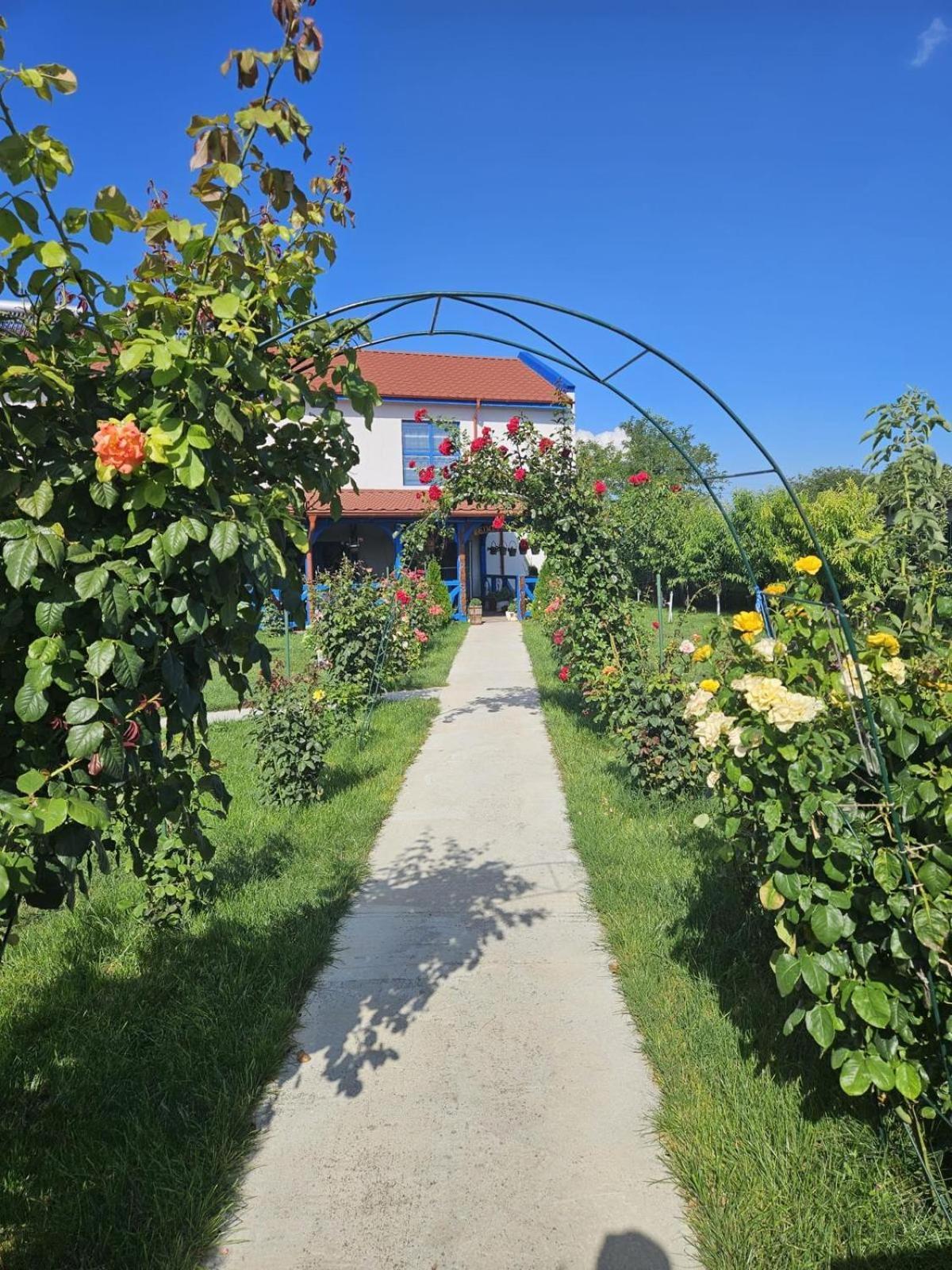 Отель Agropensiuea Casa Uncu Муригьол Экстерьер фото
