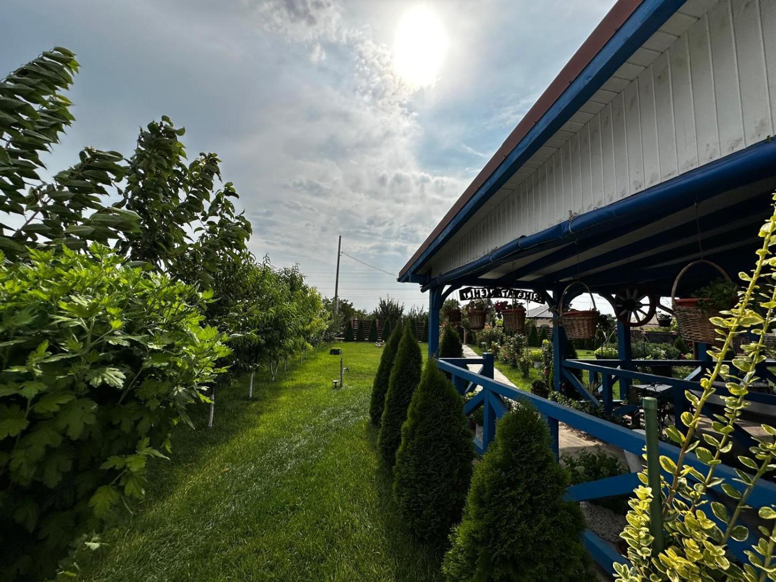Отель Agropensiuea Casa Uncu Муригьол Экстерьер фото