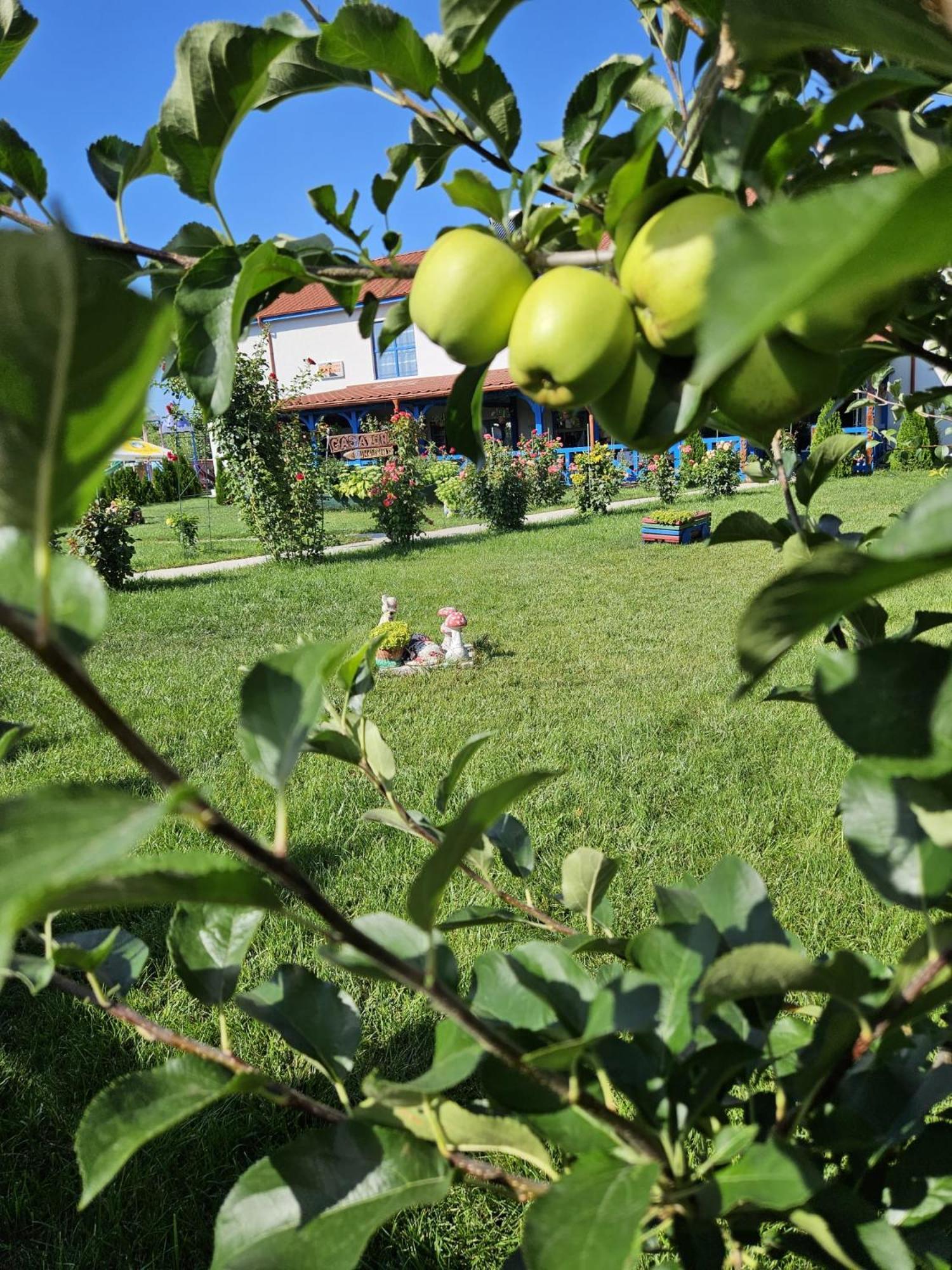 Отель Agropensiuea Casa Uncu Муригьол Экстерьер фото